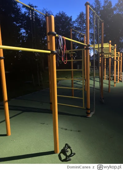 DominiCanes - Najpierw poćwiczę, a później buziaczek z kolegom ᶘᵒᴥᵒᶅ