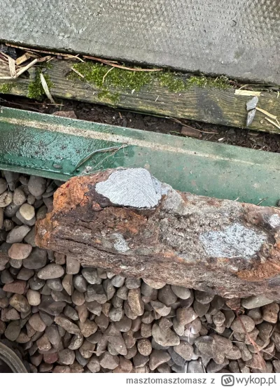 masztomasztomasz - @BLEBLEBLEX1: Cześć! Mam mały update, kazałem mu go przeciąć troch...