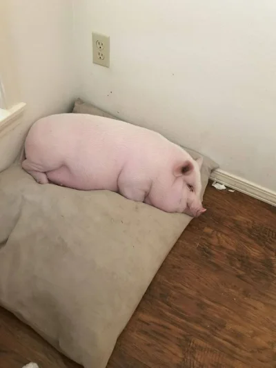 serniczekwiedensky - @Soothsayer: