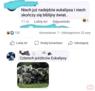 wfyokyga - Boicie się eukalipsy?