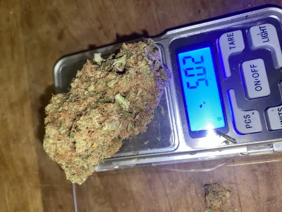 zar0x - Mniami #wykopjointclub