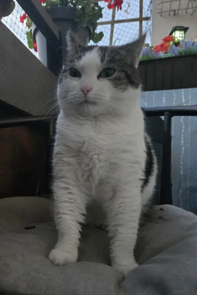 Solsith - @12lat25cm: i tak już od 13 lat ( ͡° ʖ̯ ͡°)