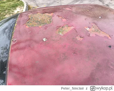 PeterSinclair - @PeterSinclair: