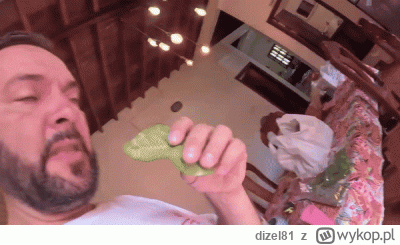 dizel81 - Małpa je liście, Asia mu kupiła:)
Wszystko żerna jak za free:)
#raportzpans...
