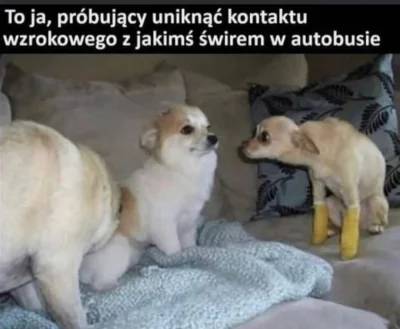 Vegasik69 - #heheszki