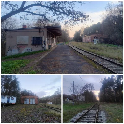 sylwke3100 - Krupski Młyn 

Uchwycone podczas spierdotripu Tory należące i prowadzące...