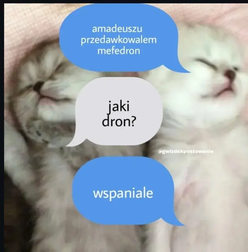 PetalMindXd - @Feliks-: