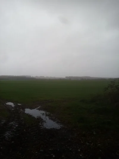 jestem-tu-znuf - zdjęcie do oceny