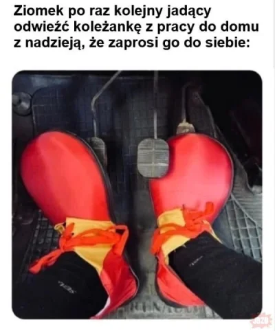 Anonek463 - Zawołajcie wykopa który pisał, że koledzy z pracy jego żony chcą ją odwoz...