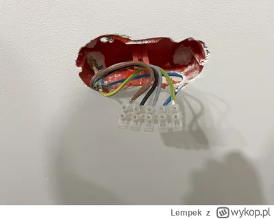 Lempek - Cześć elektryczne Mirki. Niedługo będę miał montowaną kuchnię, a zaraz po ni...