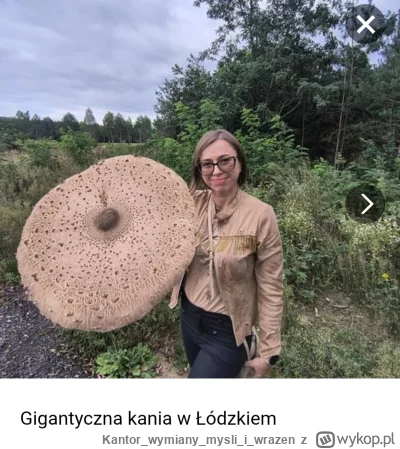 Kantorwymianymysliiwrazen - Gigantyczny kapelusz 120 cm okaz Kani znalezionej w woj ł...