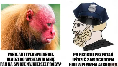 Hymenajos - #polska #ukraina #polskiedrogi #memy