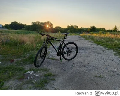Radysh - @NjeMjetek Trip po krzakach aż słoneczko wstało.