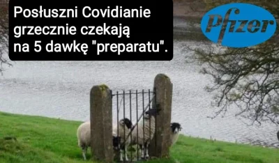 omgzpwnd - NIEKTÓRE LEWAKI DALEJ GRZECZNIE STOJĄ, CZEKAJĄ... I SZCZEKAJĄ NA TYCH CO S...