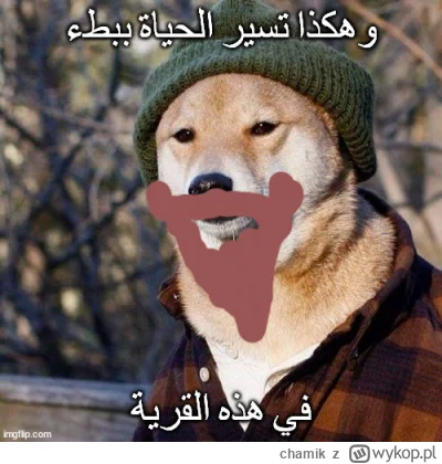 chamik - Najpierw ty przepędzasz z Aleppo, następnego dnia ciebie wypędzają z Aleppo....