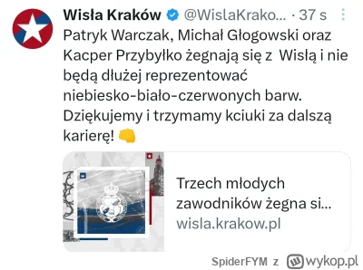 SpiderFYM - #wislakrakow