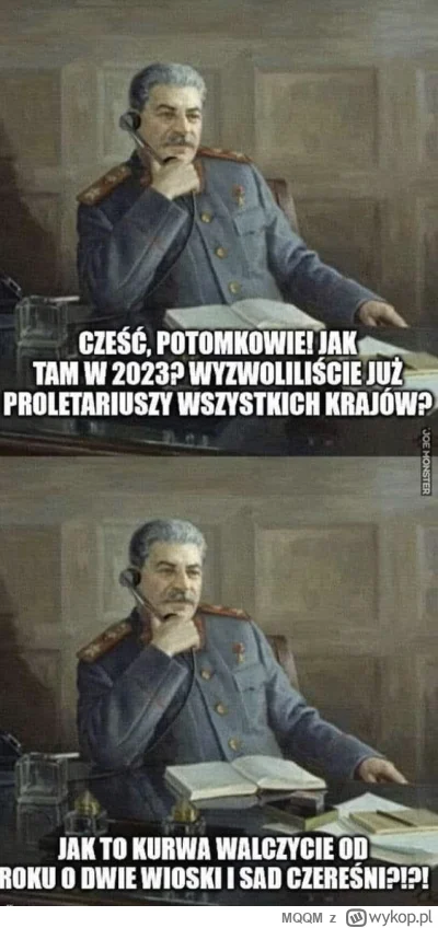 MQQM - Wynorane w sieci.