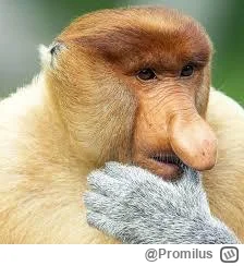 Promilus - Co prawda Polska dostanie tymi clami po dupie.
Ale Niemcy dostaną bardziej...