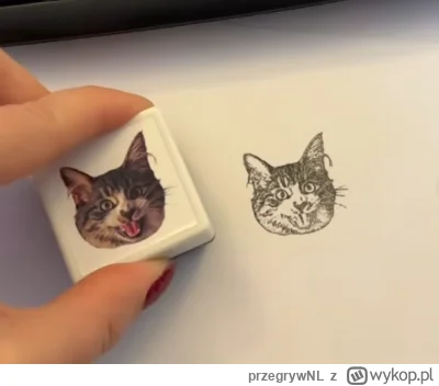 przegrywNL - Pytanie do #niebieskiepaski. Czy związałbyś się z różową, która zrobiła ...