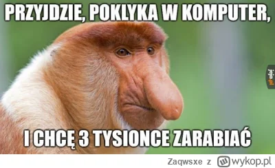 Zaqwsxe - >Pamiętam jak w 2019 r. przyjechała do nas jakaś grupa rosyjskich studentów...