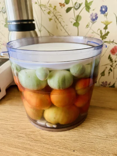 L....._ - Będą kiszone pomidory na sos z ostrymi papryczkami. 


#ogrodnictwo #gotujz...