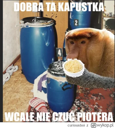 curiousboi - #konkursnanajbardziejgownianymemznosaczem #heheszki #byloaledobre