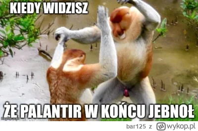 bar125 - Palantir spada poniżej $100
#gielda #pltr