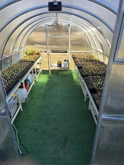 SeveranRO - Pytacie gdzie trzymam swoje owadożery. To jest główne miejsce poza pokazy...