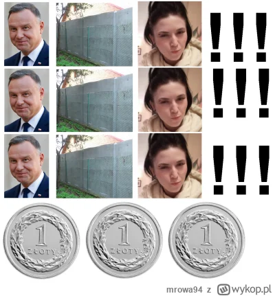 mrowa94 - #pdk
#kononowicz #michalrachon #bogumilstorchmedia