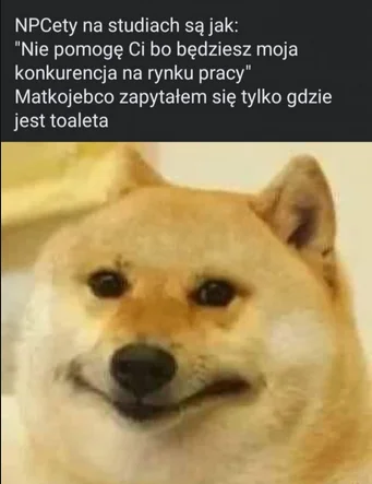 Frytek01 - @BlackpillMonster: