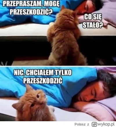 Polasz - Dzień dobry :)