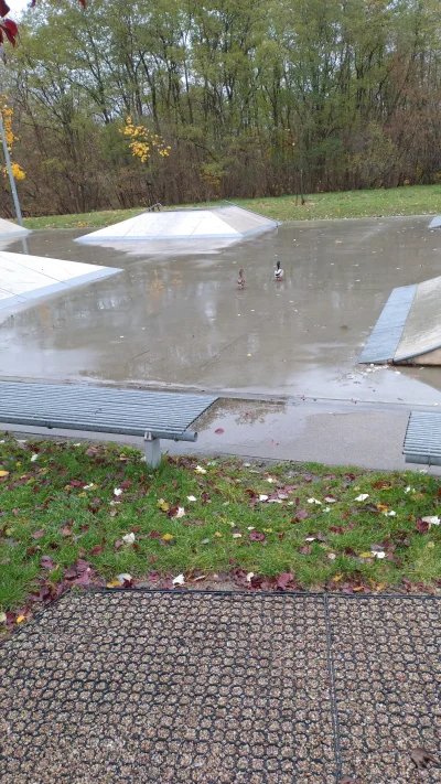 matixrr - Chłop sam a nawet kaczka ma kogoś  ( ͡° ʖ̯ ͡°)
#przegryw