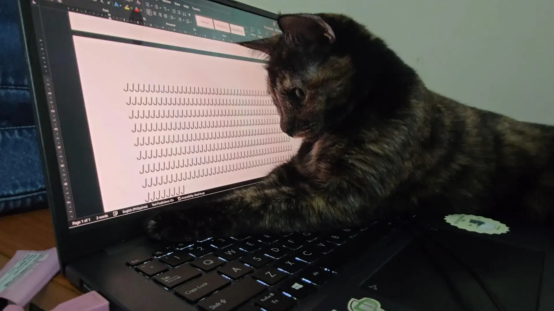 MakeLifeGreatAgain - Czy kitku napisze bestseller tysiąclecia?
#pokazkota #kot #kitku...