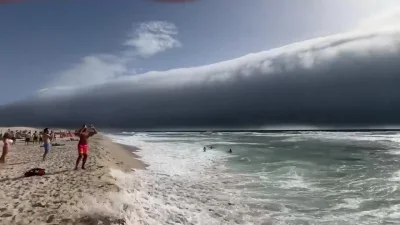 cheeseandonion - #cotojest