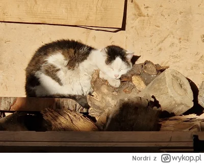 Nordri - Nie chcę znowu spamować #pracowekitku, ale drodzy Państwo, tak wygląda pełni...