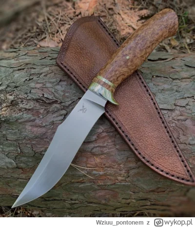 Wziuupontonem - @Wziuupontonem: