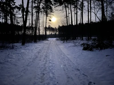 przemostudent - @PijanyDruid: również