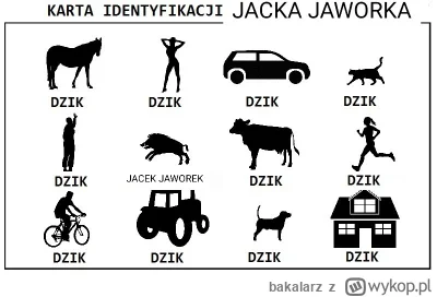 bakalarz - #jaworek