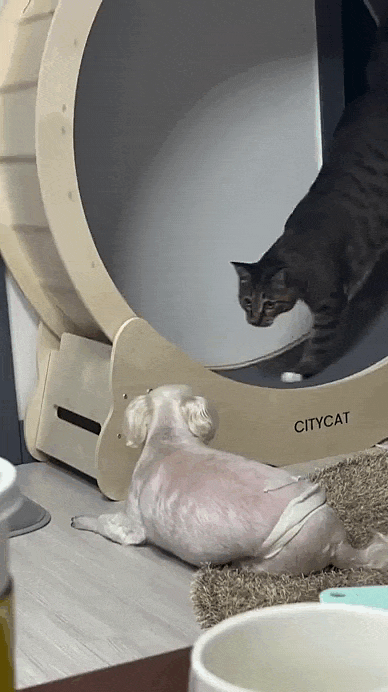 jestemtakizmeczony - @jestemtakizmeczony: