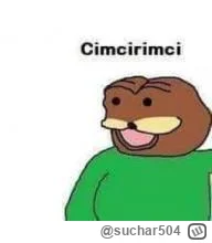 suchar504 - #loveisland