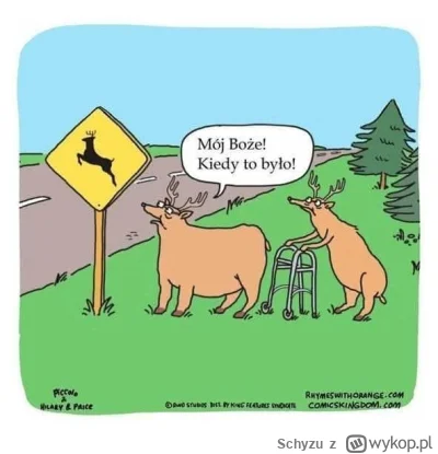 Schyzu - @PustynnyDuch