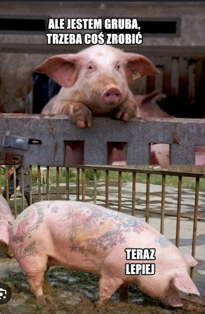 DzikWesolek - @stary_grat: Szacun za rzeźbę, ale ten tekst
nareszcie wygladam lepiej ...