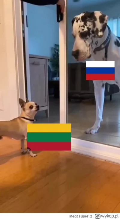 Megasuper - Litwa to właśnie taki piesek co głośno szczeka a nawet własnego wojska ni...