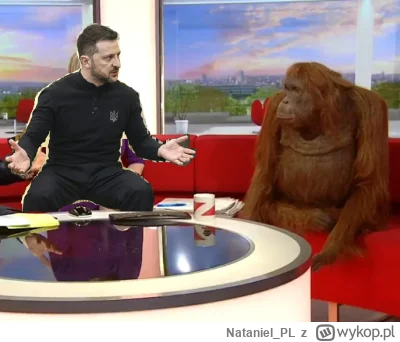 Nataniel_PL - Tak to mniej więcej dzisiaj wyglądało #trump #zelensky #ukraina #usa #p...