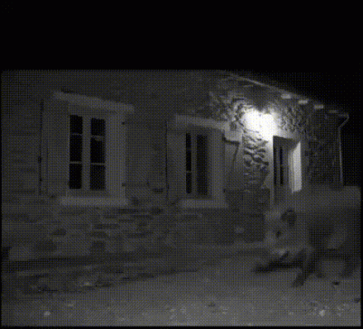 DzikWesolek - @Wszebor: Wyciekło nagranie i w sumie to sam bym pomylił