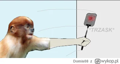 Domis08 - @paczelok: