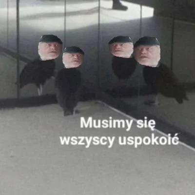 zwiezda666 - #kononowicz #patostreamy