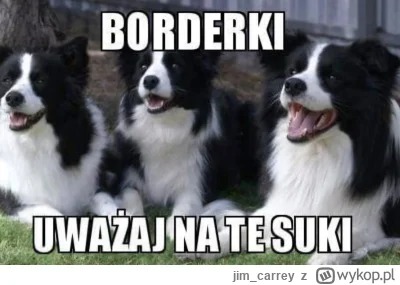 jim_carrey - @urfavkillv alternatywko zniszcz mi życie