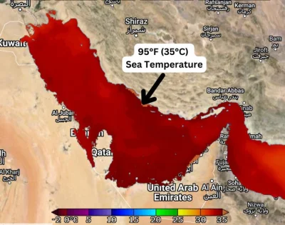 kantek007 - #pogoda Temperatura wody w  zatoka Perskiej 35*C