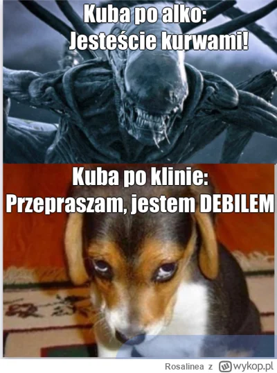 Rosalinea - #hotelparadise 

For You @Wouowina: